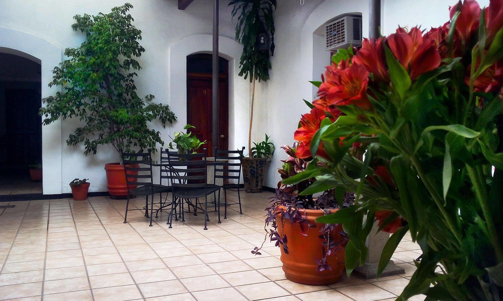 Capital O El Nito Posada Oaxaca Экстерьер фото